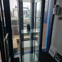 Glass Display Cabinet with Shelves