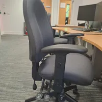 Ergonomic Office Chair - Black Mesh Back with Adjustable Features TEST DO NOT CLAIM