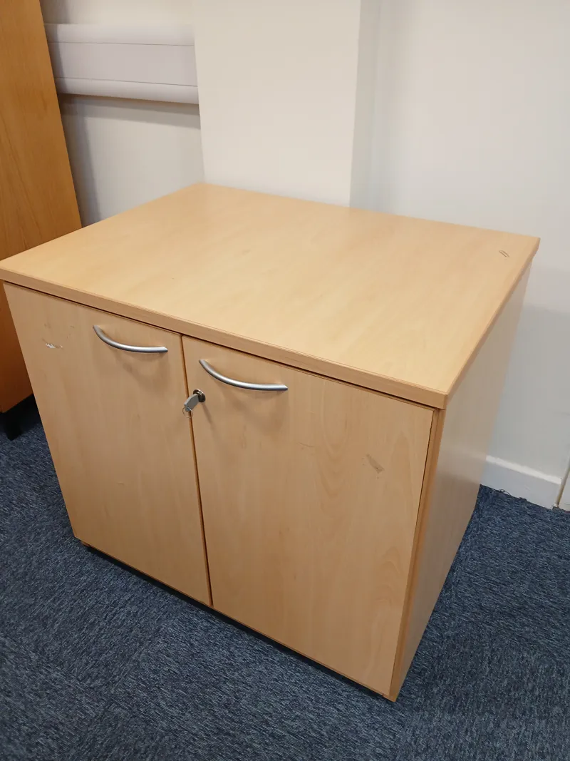 Birch Kitchen Storage Cabinet with 2 Doors