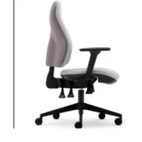 Ergonomic Specialist Office Chair