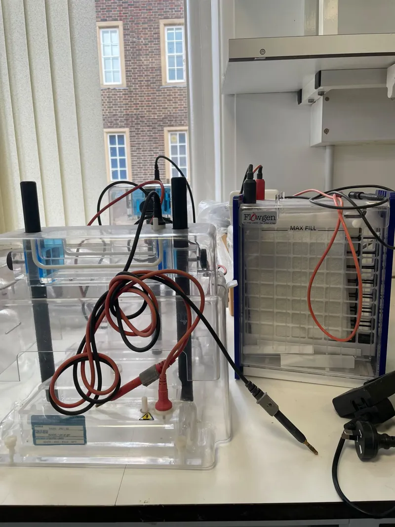 Agarose Gel Electrophoresis Tank