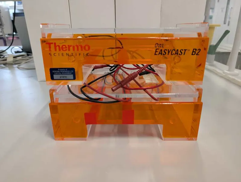 Thermo Scientific EasyCast B2 Gel Casting System