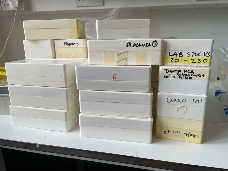 Sample collection/storage