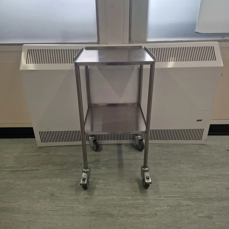 Stainless Steel Mobile Utility Trolley with Two Shelves